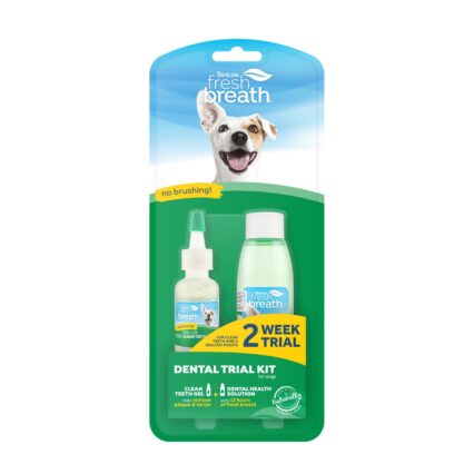Kit Dentar
