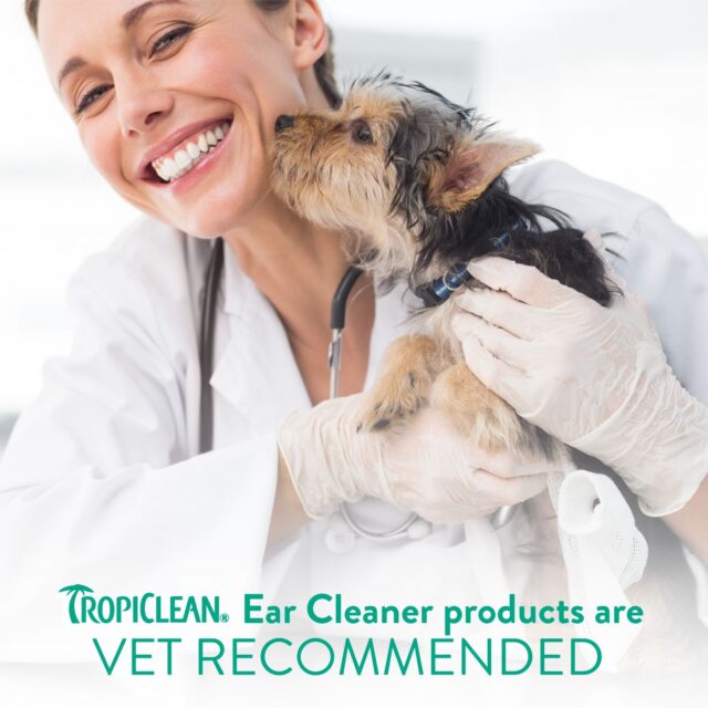 Ear Cleaner - Image 5