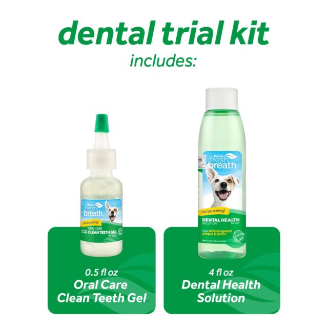 Kit Dentar - Image 4