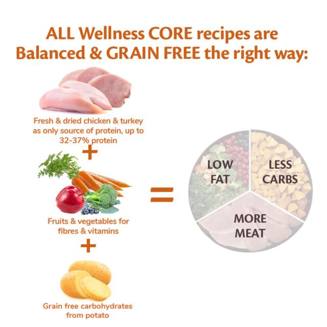Core Original Chicken 1500 gr/10 kg - Image 2