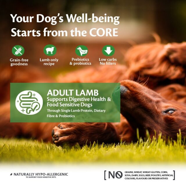 Core Adult Lamb All Breeds 1800 gr/10 kg - Image 3