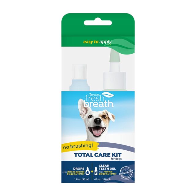 Kit Dentar - Image 5