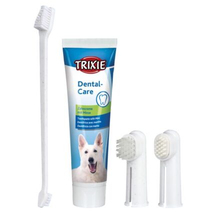 Set Dentar