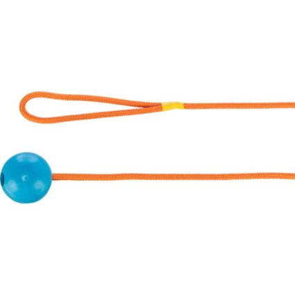 Ball on a Rope