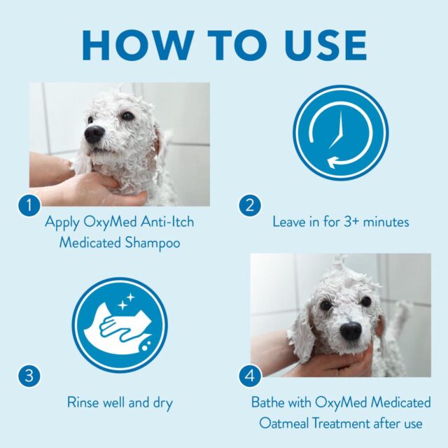 Anti-Itch Medicated Shampoo - Image 4