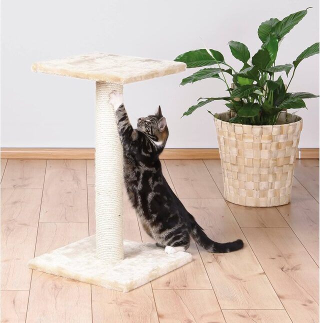 Espejo Scratching Post - Image 3