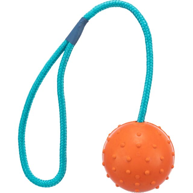 Ball on a Rope