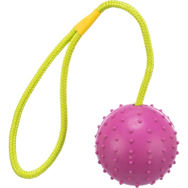 Ball on a Rope - Image 3