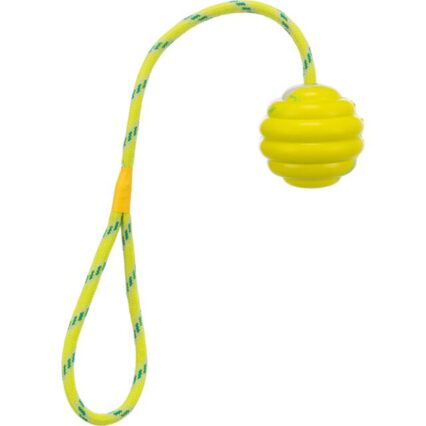 Wavy Ball on a Rope for Dogs
