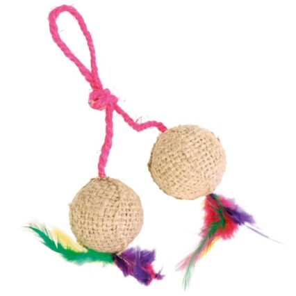 2 Balls on a Rope