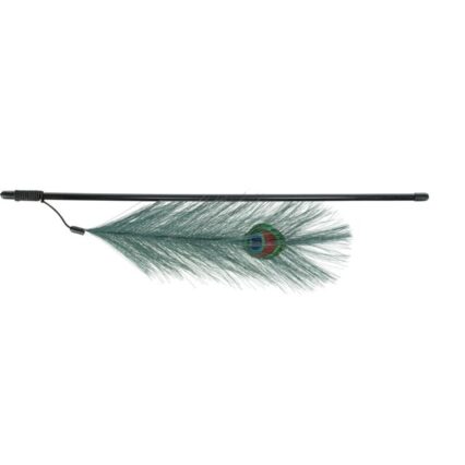 Playing Rod with Peacock Feather