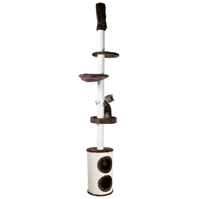 Linea Sreatching Post