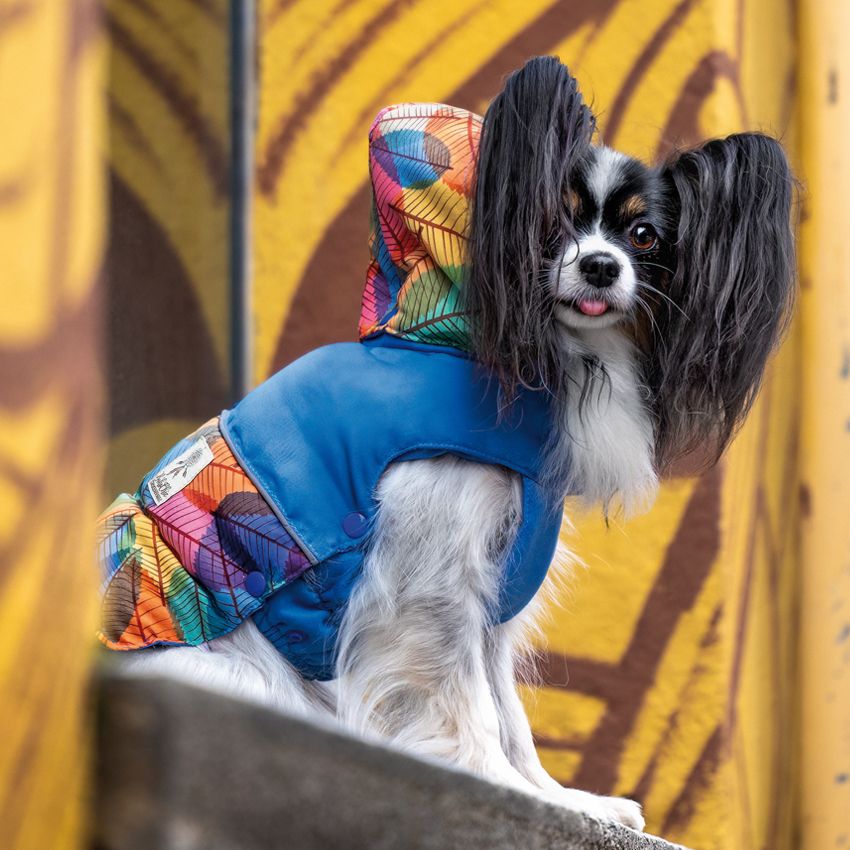 Croci - Waterproof dog jacket - Foliage - Image 4