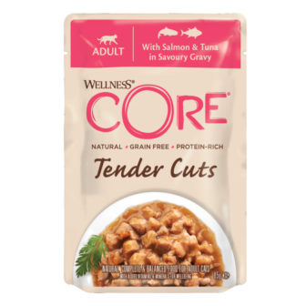 WELLNESS CORE TENDER CUTS ADULT SALMON & TON85 GR