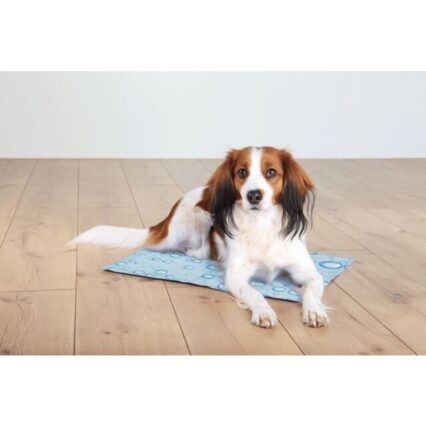 Cooling Mat-Tapet Ftohes