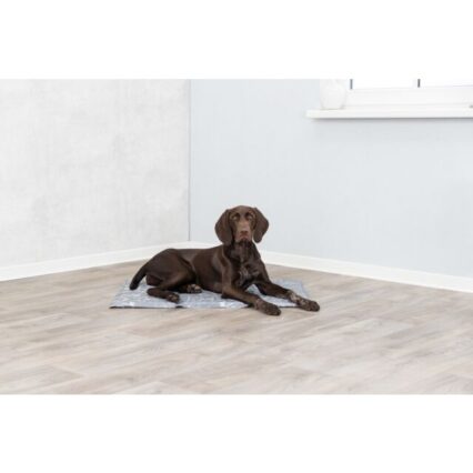 Cooling Mat Soft