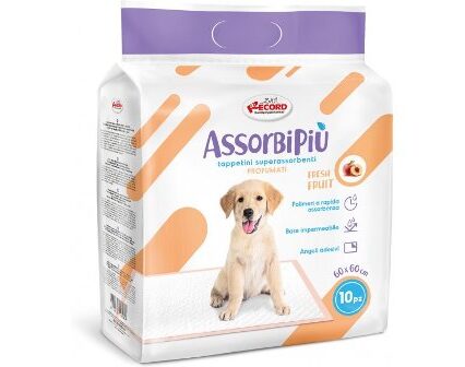 Record panolina shtroje perthithes 10pz 60x60 cm