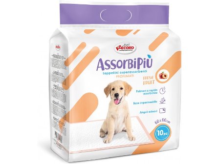 Record panolina shtroje perthithes 10pz 60x60 cm