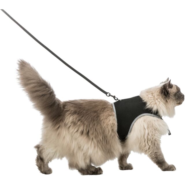 Soft Harness XXL with Lead - Image 2