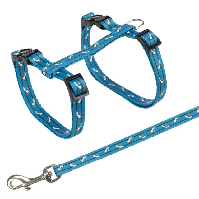 Harness with Lead - Image 5