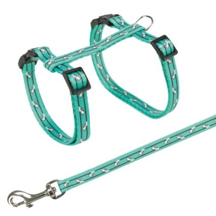 Harness with Lead