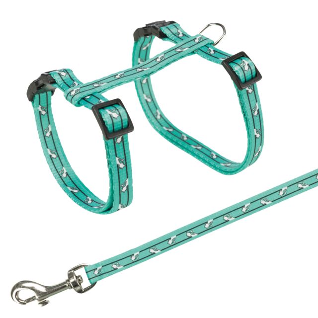 Harness with Lead