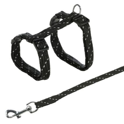 Harness with Lead, Reflecting