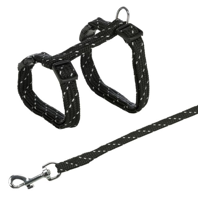 Harness with Lead, Reflecting