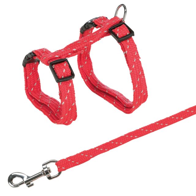 Harness with Lead, Reflecting - Image 5
