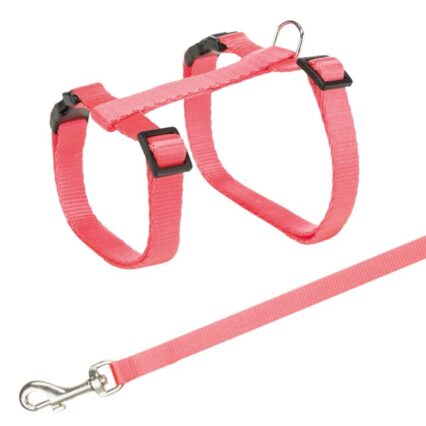 Harness with Lead