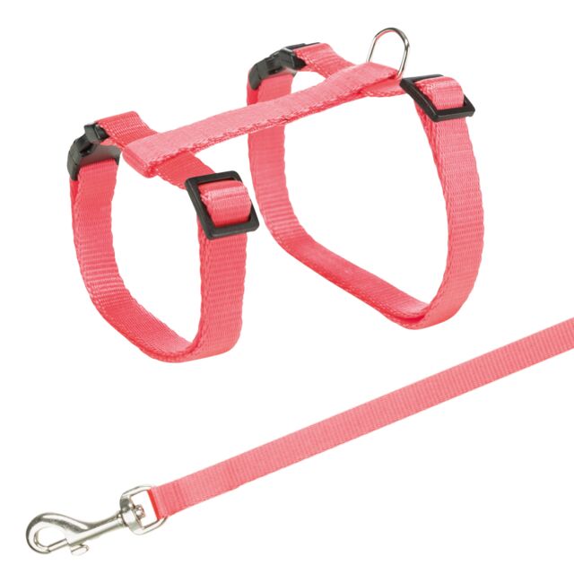 Harness with Lead