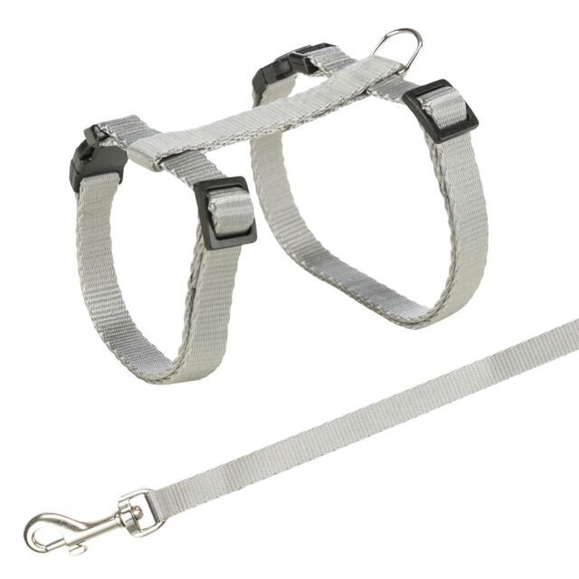 Harness with Lead - Image 4