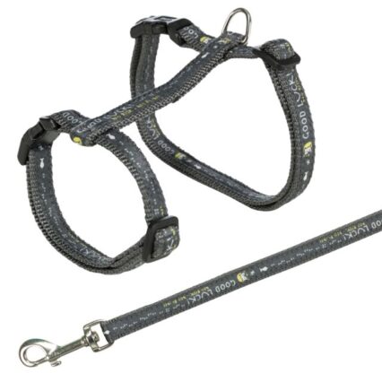 Harness XXL with Lead
