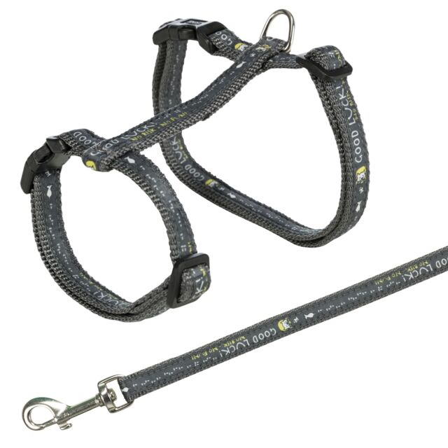 Harness XXL with Lead