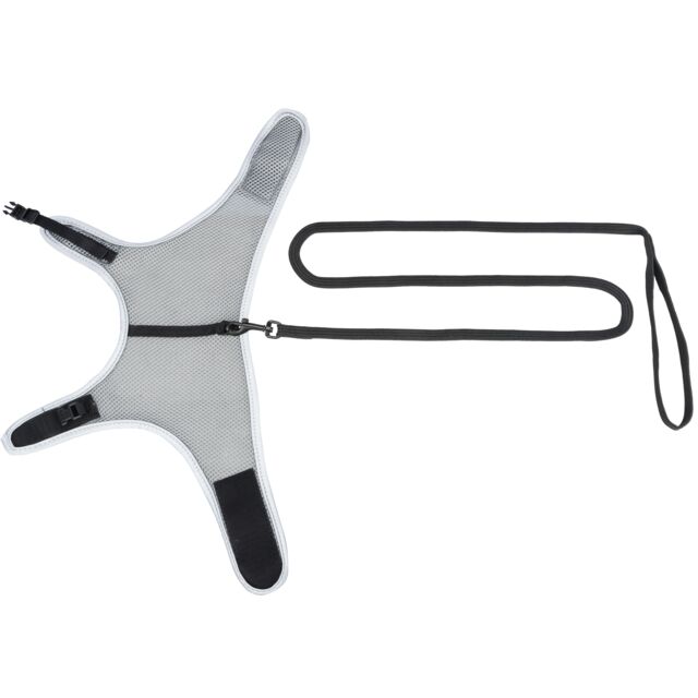 Soft Harness with Lead - Image 3