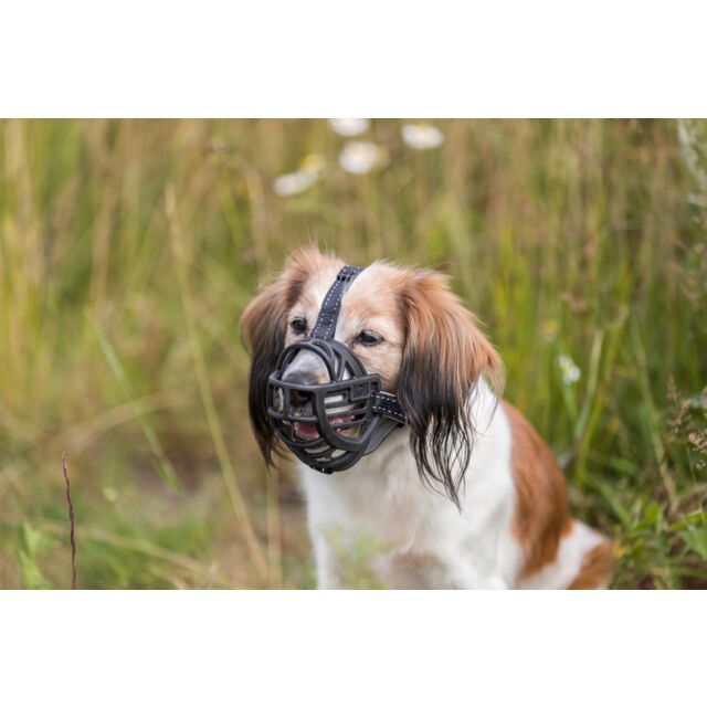 Muzzle Muzzle Flex - Image 5