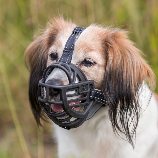 Muzzle Muzzle Flex - Image 6